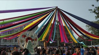 Kala Ghoda Arts Festival [upl. by Smaoht]