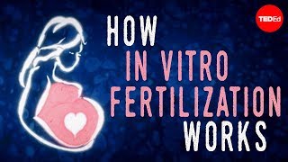 How in vitro fertilization IVF works  Nassim Assefi and Brian A Levine [upl. by Assyn331]