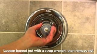 DIY  Fix Leaking Delta Series 17 Shower Faucet [upl. by Bashemath676]