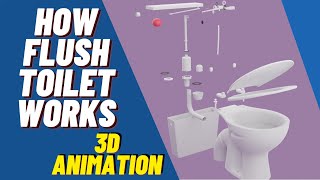 How Flush Toilet Works  3D Animation  Siphon [upl. by Laura]