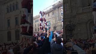 Los CASTELLERS en BARCELONA [upl. by Proudfoot]