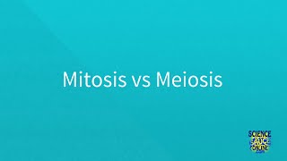 Mitosis vs Meiosis SUPER SIMPLE [upl. by Aligna]