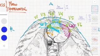 ECG Derivaciones y caras  3 Plano horizontal [upl. by Esila390]