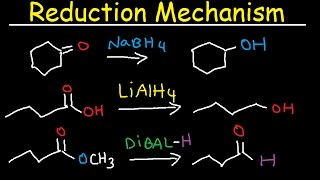 NaBH4 LiAlH4 DIBAL Reduction Mechanism Carboxylic Acid Acid Chloride Ester amp Ketones [upl. by Crompton212]