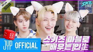 스키즈 마블로 배우는 인生 1｜SKZ CODE Ep04 [upl. by Zevahc534]