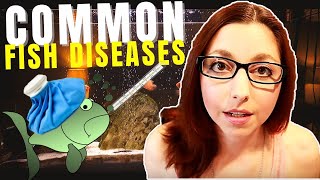 5 Common Fish Diseases And How To Spot And Treat Them [upl. by Sidnee]