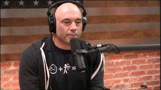 Joe Rogan  The Science of Hotness vs Beauty [upl. by Ardua]