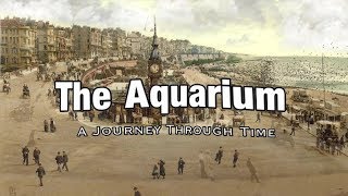 The Aquarium A Journey Through Time Brighton UK [upl. by Delastre549]