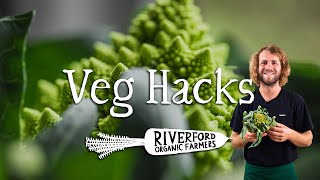 Romanesco Cauliflower  VEG HACKS [upl. by Nit]