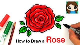 How to Draw an Open Rose EASY [upl. by Assener]