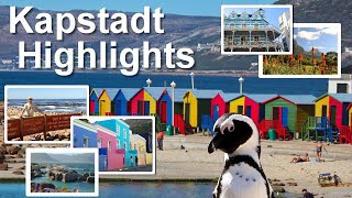 Kapstadt Highlights amp Tipps für Safari in Südafrika [upl. by Maddalena]