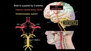 Protective Structures of the CNS [upl. by Aronek]