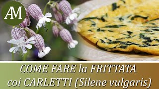 Come fare la frittata coi carletti sciopeti stridoli strigoli Silene vulgaris  Orto e Cucina [upl. by Grishilda]