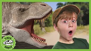 Dinosaur Egg Hunt on Quad Bikes TRex Ranch Dinosaurs for Kids [upl. by Zuzana954]