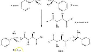 Resolution of a Racemic Mixture [upl. by Meldoh338]