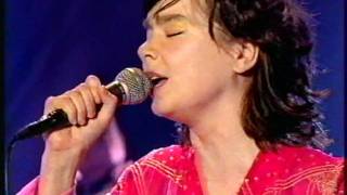 BJORK  BacheloretteJoga  NPA LIVE 1998 [upl. by Ryann648]