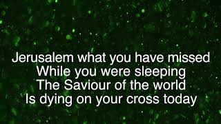 While You Were Sleeping  Casting Crowns  lyric video [upl. by Deragon]