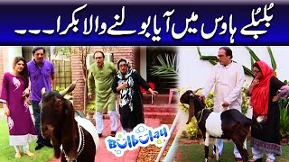 Bulbulay House Mein Aya Bolne Wala Bakra  Khoobsurat  Bulbulay [upl. by Navetse643]