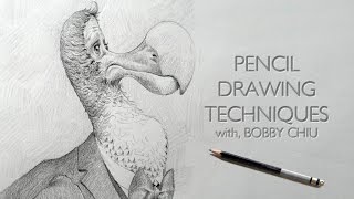 Pencil Drawing Techniques [upl. by Phip]