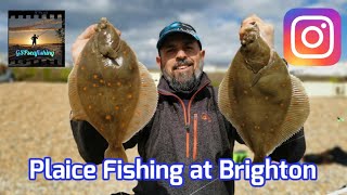 Sea Fishing UK  Brighton East Sussex  Catching Plaice From the Shore 2021 [upl. by Scriven]