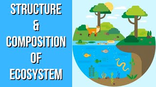 Structure amp Composition of Ecosystem  Environmental Science  EVS  Letstute [upl. by Atiluj128]