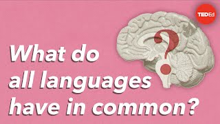 What do all languages have in common  Cameron Morin [upl. by Chesney]