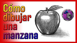 🍎Cómo dibujar UNA MANZANA🍎 How to draw AN APPLE✏️😛 [upl. by Leviram]