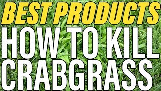 How To Kill Crabgrass  The BEST ProductsGuide To Success [upl. by Abeh961]