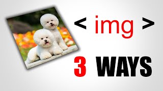 HTML img tag  HTML Tutorial [upl. by Elmo131]