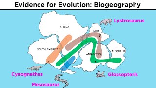 The Evolution of Populations Natural Selection Genetic Drift and Gene Flow [upl. by Onaireves]