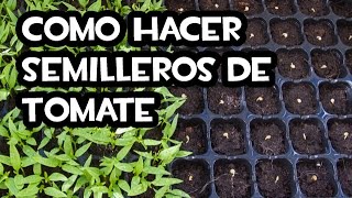 Como hacer Semilleros de Tomate  Muy fácil 🍅 [upl. by Bensen645]