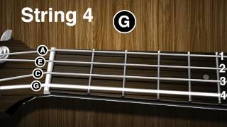 How to tune a Ukulele  Ukulele tuning video  gCEA [upl. by Blight207]