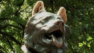 The Balto Statue of Central Park  Antiques Roadshow [upl. by Eltsyrhc]