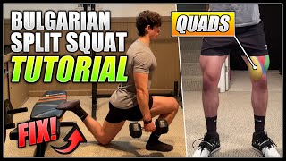 How to do the BULGARIAN SPLIT SQUAT  2 Minute Tutorial [upl. by Rosati369]