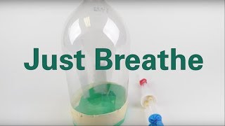 Creating Model Working Lungs Just Breathe [upl. by Ahsiekit]