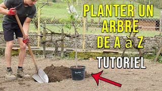 Comment Planter un Arbre [upl. by Tabbitha]