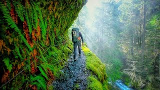 Eagle Creek Trail  Oregon USA  Stunning Footage [upl. by Joshi]