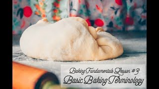 BASIC BAKING TERMINOLOGY  folding proofing ferment scoring and more [upl. by Tillford]