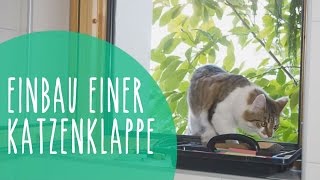 Katzenklappe in Isolierglas Fenster einbauen [upl. by Brinna]