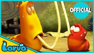 LARVA Funny Animation  LARVA AND THE SPAGHETTI  Cartoons  Comics  LARVA Official [upl. by Maroney869]