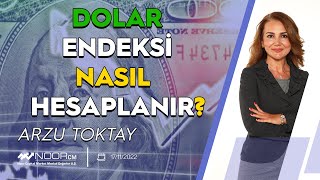 Dolar Endeksi Nedir Nasıl Hesaplanır [upl. by Labina]