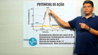 Potencial de Ação  Fisiologia Fácil [upl. by Eecram]