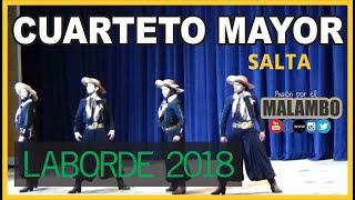 Laborde 2018 Cuarteto Mayor Salta  Festival Nacional del Malambo [upl. by Thaine]