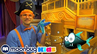 Blippi Explores The Discovery Childrens Museum Blippi  Moonbug Kids [upl. by Retse109]