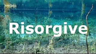 Risorgive [upl. by Mcgill]