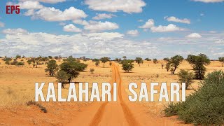 Kalahari Safari  Kgalagadi Part 4 of 4  EP5 [upl. by Brookner]