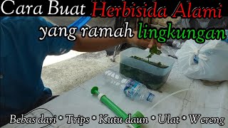 Cara buat obat herbisida alami [upl. by Eseilana]