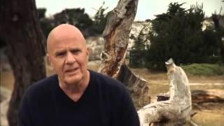 El Cambio del Dr Wayne Dyer Documental completo en español [upl. by Anirb]