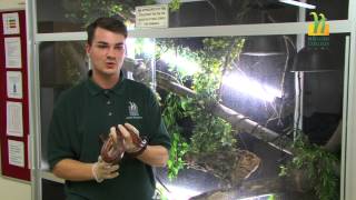 Animal Management at Hadlow College [upl. by Jenne]