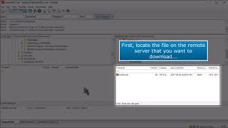 FTP How to Download Files Using FileZilla [upl. by Oetomit]